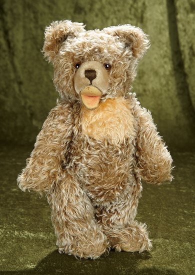 17" German curly mohair teddy bear "Zotty" by Steiff. $400/600
