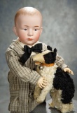 German Bisque Pouting Character, Model 7602, Gebruder Heubach for Gimbel's, Toy Dog 900/1200