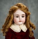 German Bisque Child Doll, 161, by Kestner with Original Signed Body 300/500