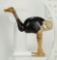 American Wooden Ostrich, Rare Style I, by Schoenhut 600/800