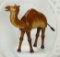 American Wooden Arabian Camel with Glass Eyes by Schoenhut 500/700