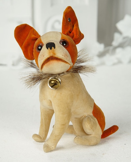 Early Period German Velvet "Bully" Dog with Original Label  700/900