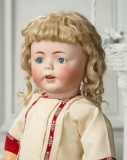 German Bisque Toddler 