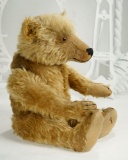 Early Grand-Sized German Mohair Teddy by Wilhelm Strunz 1200/1800