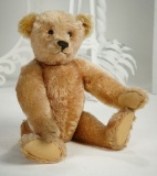 Very Rare German Apricot Mohair Teddy by Steiff with Blank Button in Ear 1800/2400