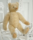 Early Period German White Mohair Teddy Bear by Steiff  1200/1600