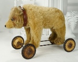 Early German Mohair Teddy on Wheels with 