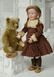 German Brown Mohair Teddy by Steiff with Button in Ear  400/600