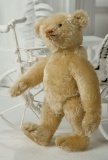 German Mohair Teddy by Steiff with Original Button in Ear 700/1200