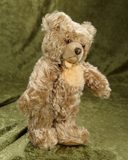 14" Vintage mohair Zotty bear by Steiff in nice condition (no button in ear)