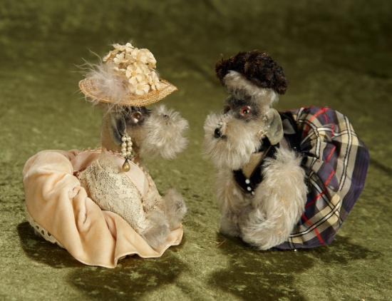 6"  Pair of vintage mohair Schnauzer dogs, glass eyes, Steiff couturiere costumes by Helen Ratkai.