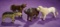 Four American Wooden Glass-Eyed Circus Animals by Schoenhut 800/1100