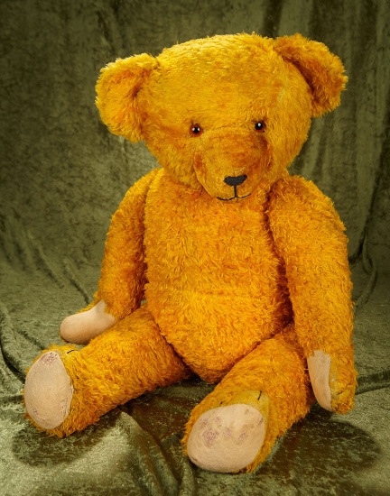 33" Large mohair teddy bear with glass eyes in clean, striking gold color.
