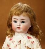 Wonderful German Bisque Toddler, Model 135, by Kammer and Reinhardt 700/900