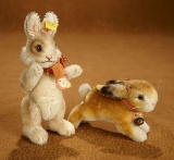 Two German Mohair Bunnies Including 
