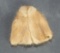 Barbie's Genuine Mink Stole, First Sear's Exclusive $400/600