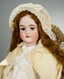 German Bisque Child Doll 