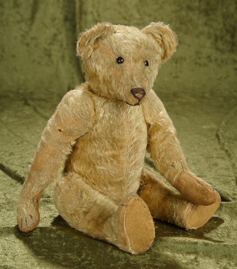 18" Early mohair teddy bear with extended snout, shoe-button eyes, hump back