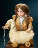 French Mohair Pull-Toy Duck on Wooden Wheels  300/400