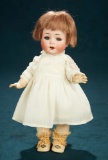 Petite German Bisque Toddler, 126, by Kammer and Reinhardt 300/400