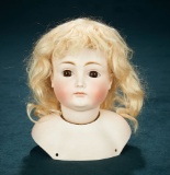 German Bisque Closed Mouth Doll, XII, by Kestner 600/800