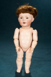 Rare German Bisque Character, 220, by Kestner with Toddler Body 800/1100