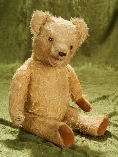 20" Vintage golden mohair teddy bear with rare open mouth, glass eyes and velvet pads