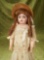 German bisque child, 191, by Kammer and Reinhardt with especially pretty face $500/700