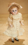 German All-Bisque Doll in Rare Large Size 900/1100