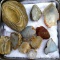 Several cut agates up to 3-1/2