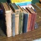 Nice assortment of books, most or all copyright dates are in the 1920s. Titles include Jumbo, The
