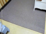 Area rug measures 4'9