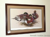 Framed and matted print 'Sittin' Pretty' signed and numbered by Art LaMay, Ducks Unlimited 1990 Fly