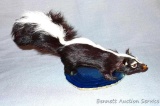 Nine inch skunk with what we believe is real fur; four inch deep blue polished agate slab.
