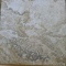 Greenworks porcelain tile, coral reef, 12