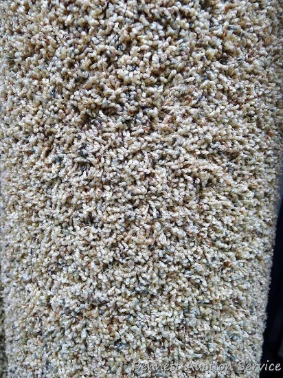Carpet remnant, 7' 10" x 16' 9". Please come to open house to see the color