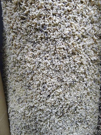 Carpet remnant, 12' x 15'. Please come to open house to see the color.