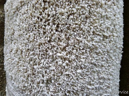 Carpet remnant, 12' x 14' 9". Please come to open house to see the color.