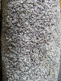 Carpet remnant, 5' 3