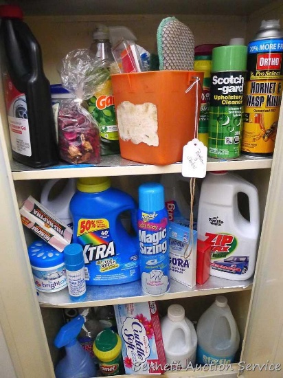No shipping. Three shelves of full and partial household cleaners including laundry soap, vehicle