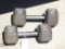 Two 25 lb. dumb bells.