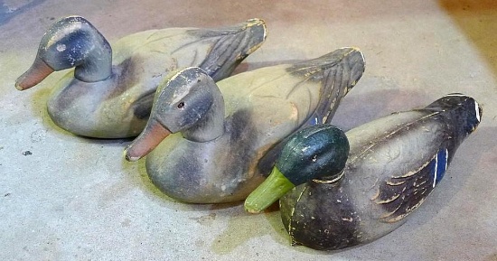 Pair of D3 duck decoys by Animal Trap Co., 16" long. Plus a Victor ATCO 16" duck decoy with a loose