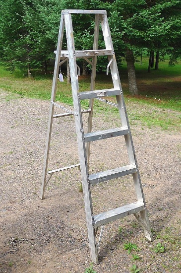 6 ft. aluminum step ladder. Missing pan rivets otherwise in good shape.