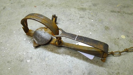 Blake & Lamb No. 2-1/2 animal trap is 12" long.