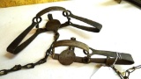 Triumph No. 3 double long spring trap is 17