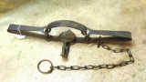 Oneida Victor No. 4 double long spring trap is 19