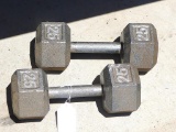 Two 25 lb. dumb bells.