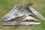 Four pieces of driftwood, largest piece is 44