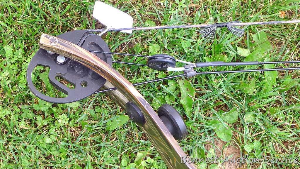 Lot Golden Eagle Revolution Advantage Compound Bow