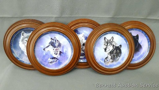 Five Bradford Exchange framed collector's plates featuring wolves including Black Knight, White